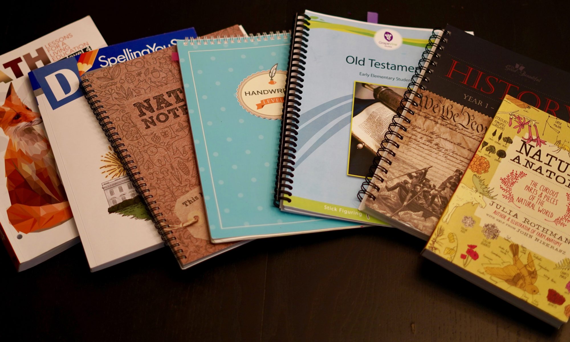 2018-2019 Homeschool Curriculum